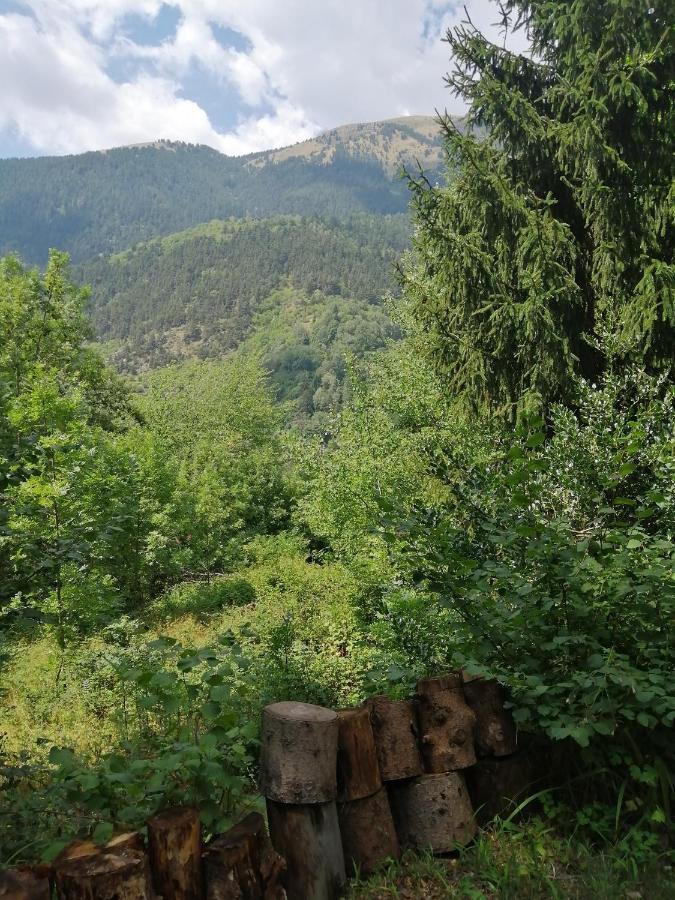 Chalet Le Tyrolien, Au Coeur Du Boreon แซ็ง-มาร์แต็ง-เวซูบี ภายนอก รูปภาพ